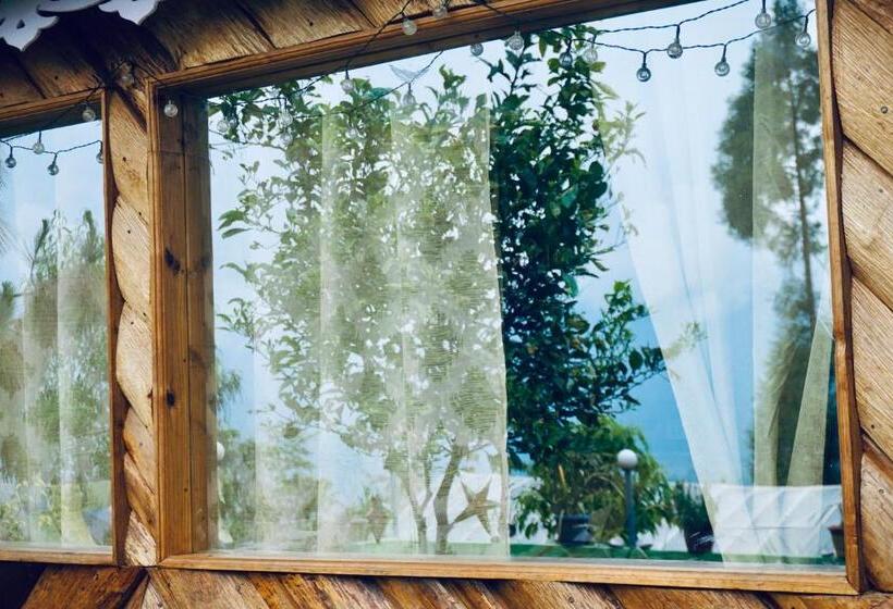 اتاق اکونومی, Wake In Himalayas