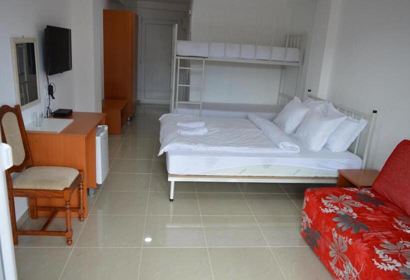 اتاق استاندارد, Berovo Vip