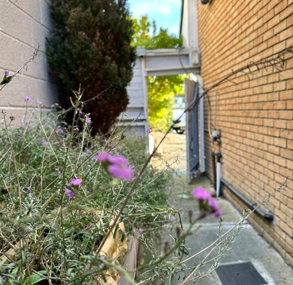 Номер Basic, Malahide Guest Rooms
