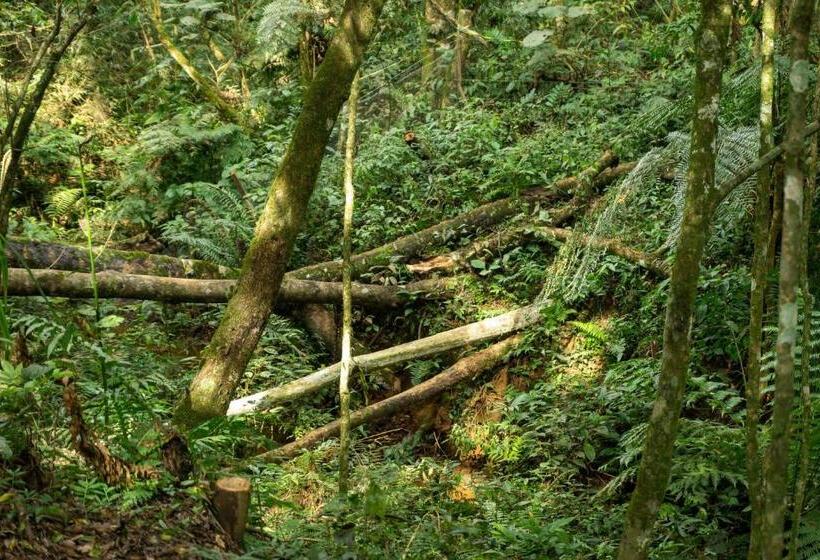 샬레, Chale Em Curitiba   Chales Portugal