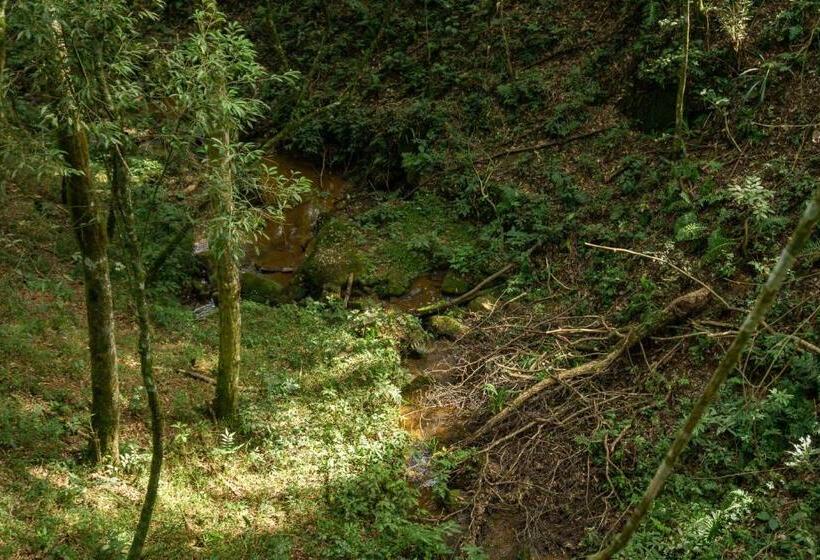 1 베드룸 수피리어 스위트, Chale Em Curitiba   Chales Portugal