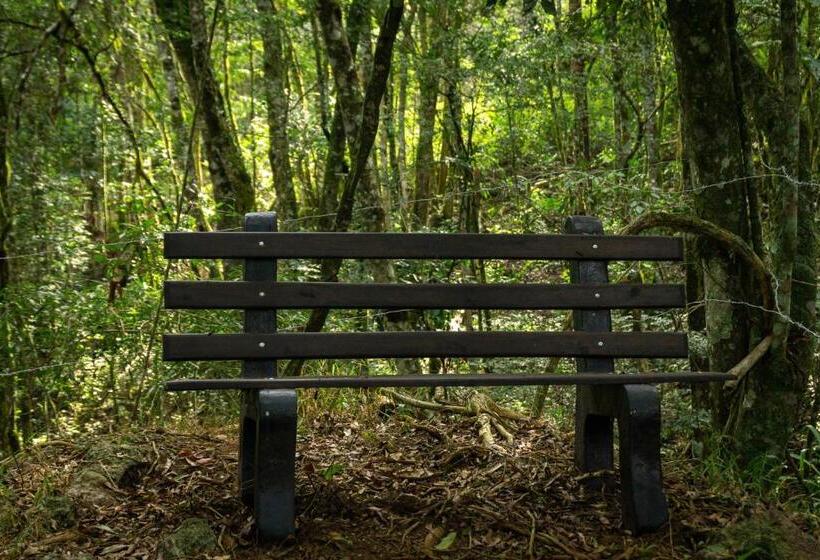 스탠다드 스튜디오, Chale Em Curitiba   Chales Portugal