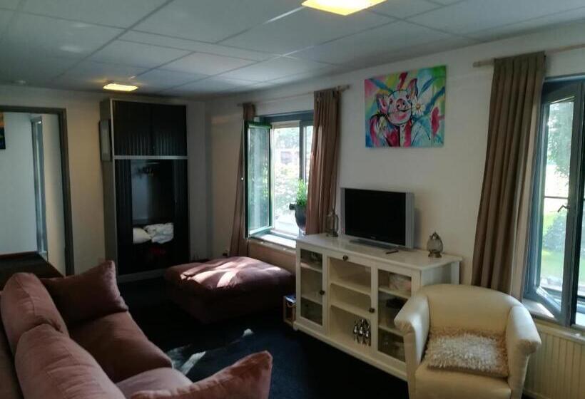Апартаменты 1 Спальня Нижний Этаж, Appartement De Molshoop Ii