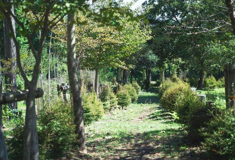 غرفة دوبلكس, 泊まれる公園 Inn The Park