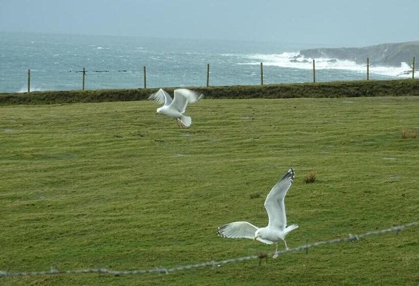 带大床的豪华间, Heather House On The Wild Atlantic Way