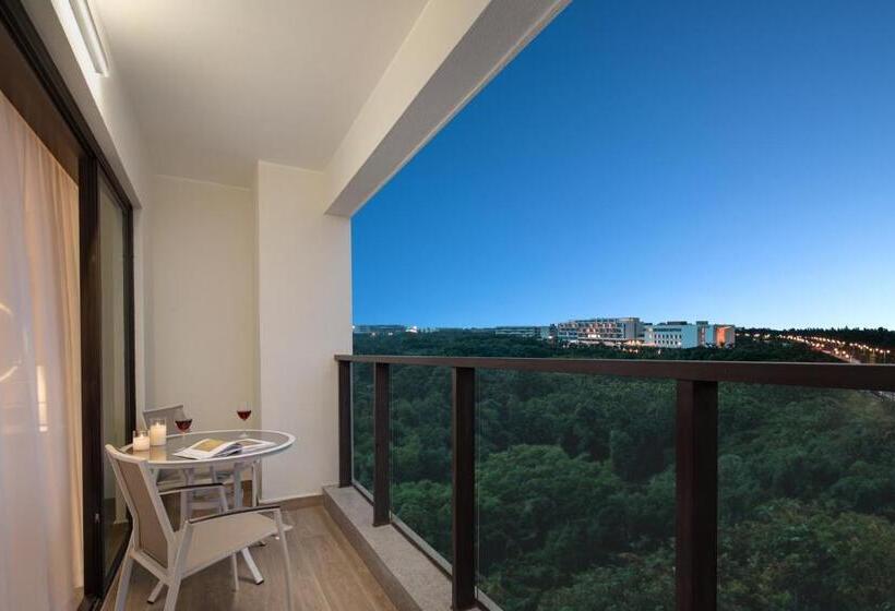 آپارتمان اجرایی 1 خوابه, Citadines Hope City Boao