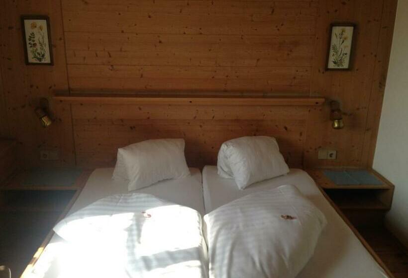 اتاق استاندارد یک نفره, Gasthaus Sonne