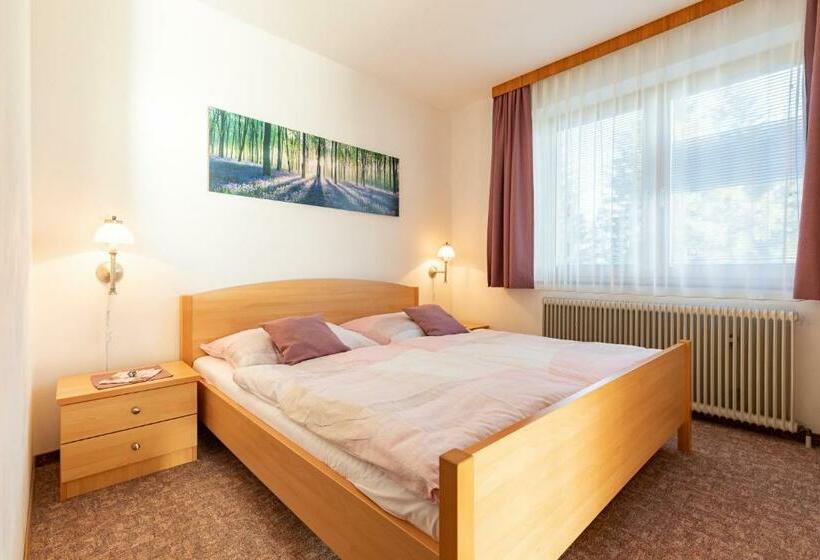 １ベッドルームアパートメント, Gästehaus Apschner