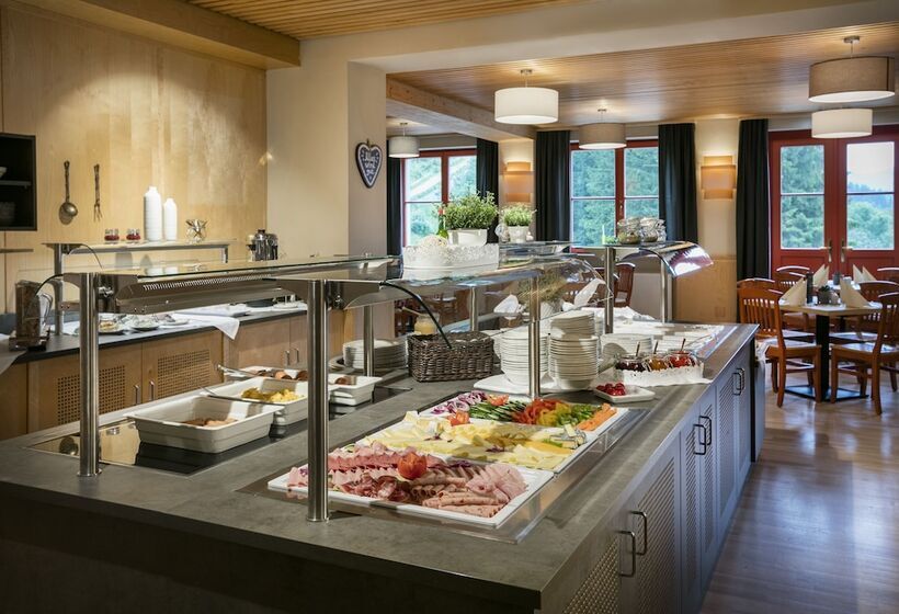 Номер Стандарт Индивидуальный, Jufa Hotel Mariazell