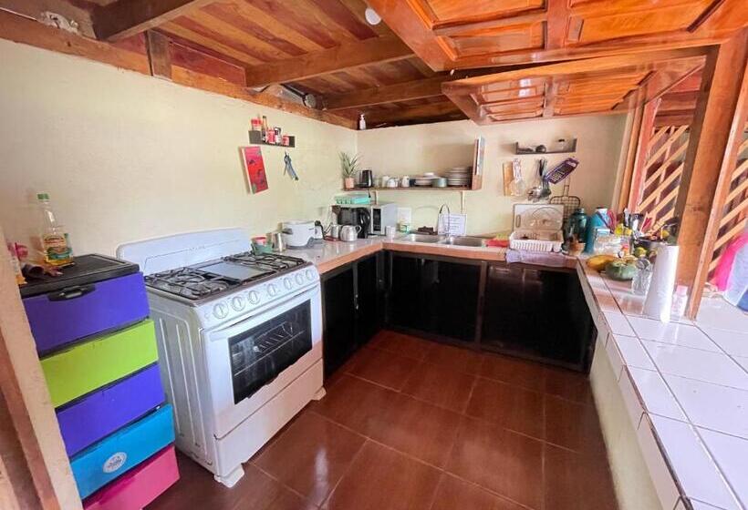 اتاق استاندارد, Malinche Hostel