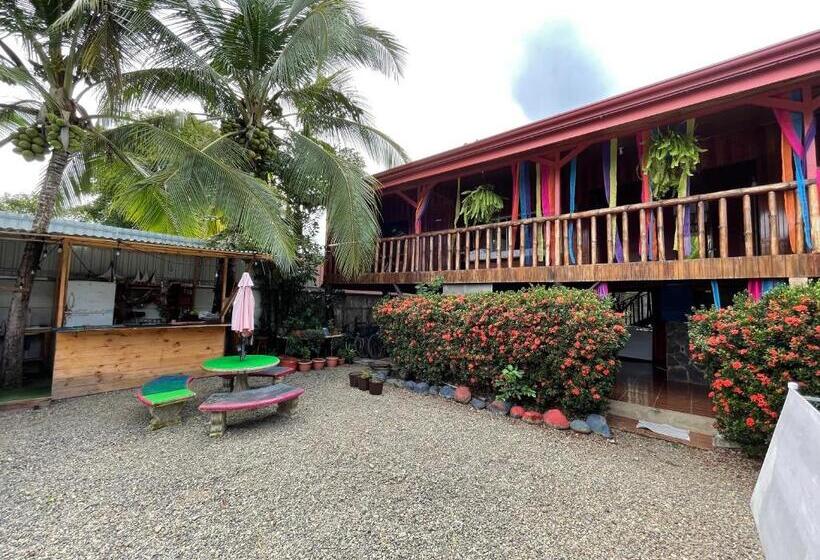 اتاق استاندارد, Malinche Hostel