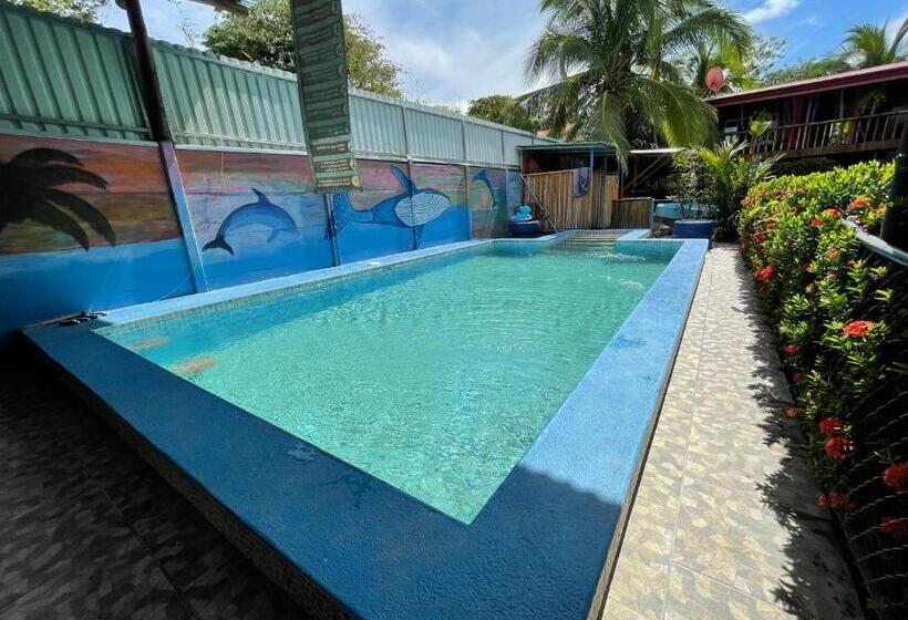 تختخواب در اتاق مشترک, Malinche Hostel