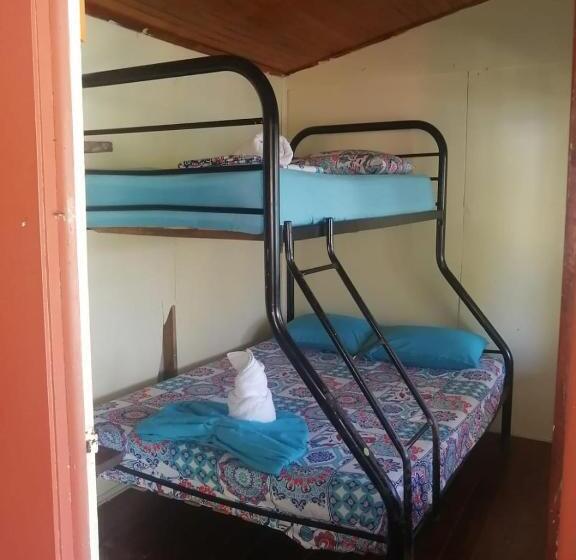تختخواب در اتاق مشترک, Malinche Hostel