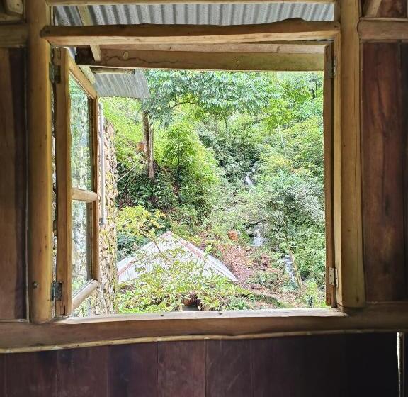 اتاق استاندارد, Back To Nature Ecotourism