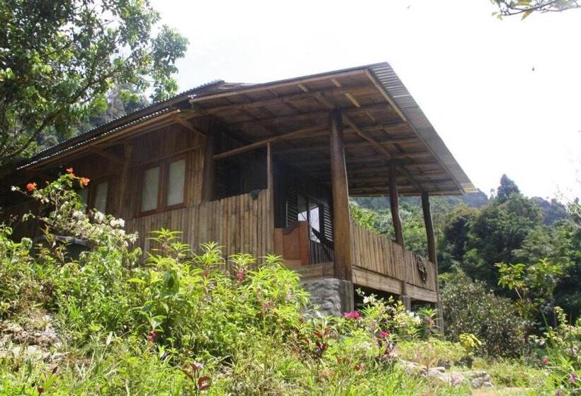 ویلای استاندارد با چشم‌انداز باغ, Back To Nature Ecotourism