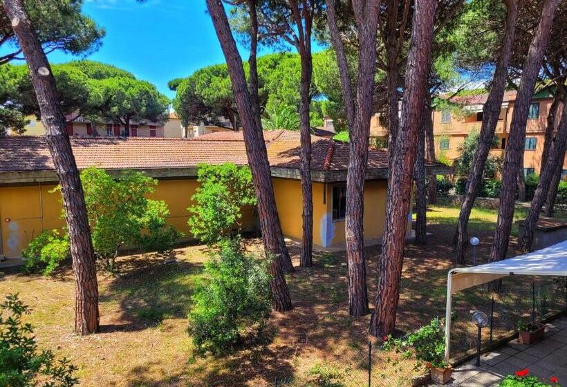آپارتمان 1 خوابه همکف, Pineta Azzurra