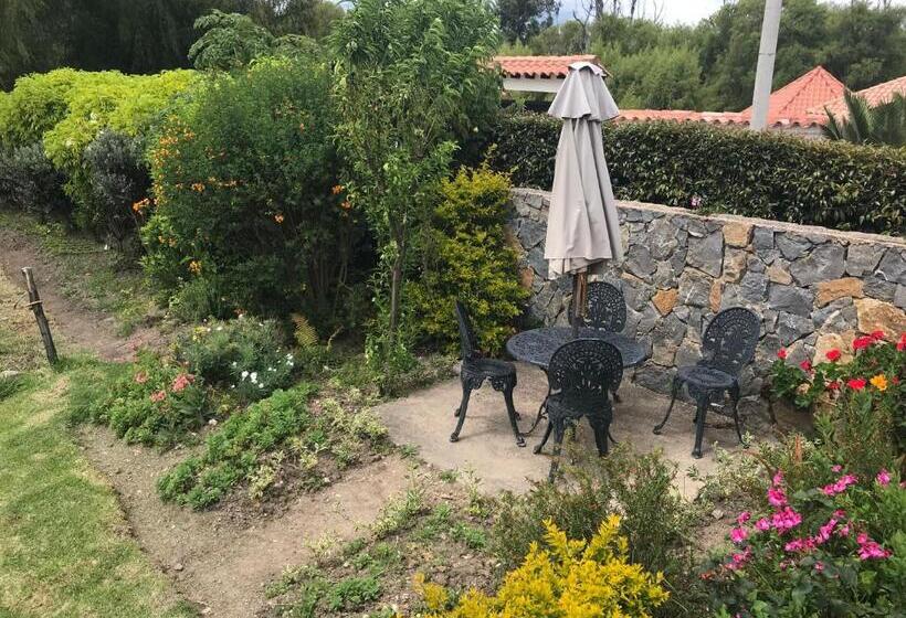 Номер Стандарт, Casitas Barro Iza Boyaca