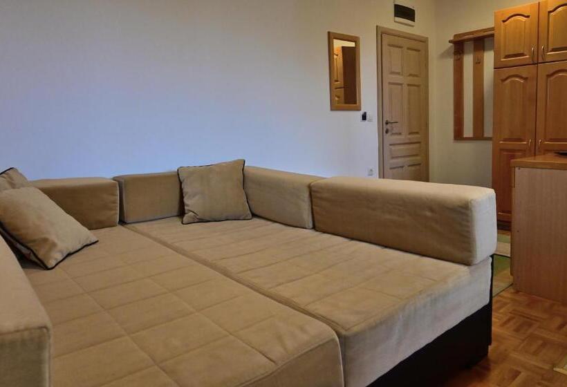 اتاق استاندارد, Vila Danica