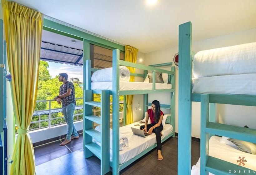 تختخواب در اتاق سوپریور مشترک, Zostel Pondicherry, Auroville Road