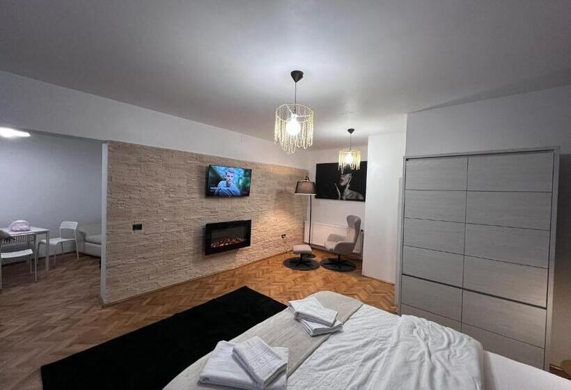 带大床的标准工作室, Casa Basarab Brasov