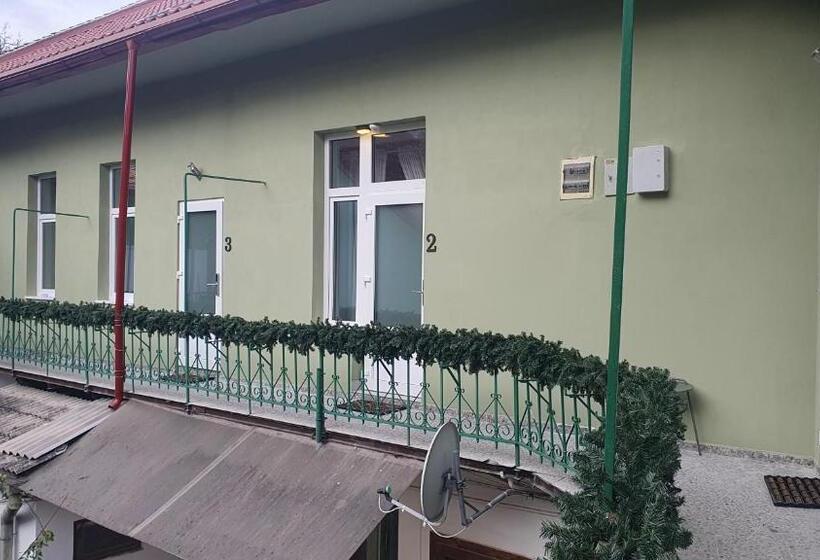 带大床的高级房间, Casa Basarab Brasov
