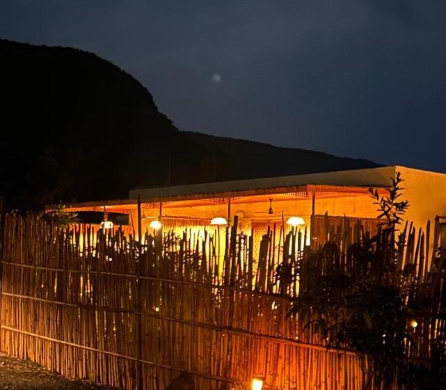 Номер Стандарт, Dhyaana Farms
