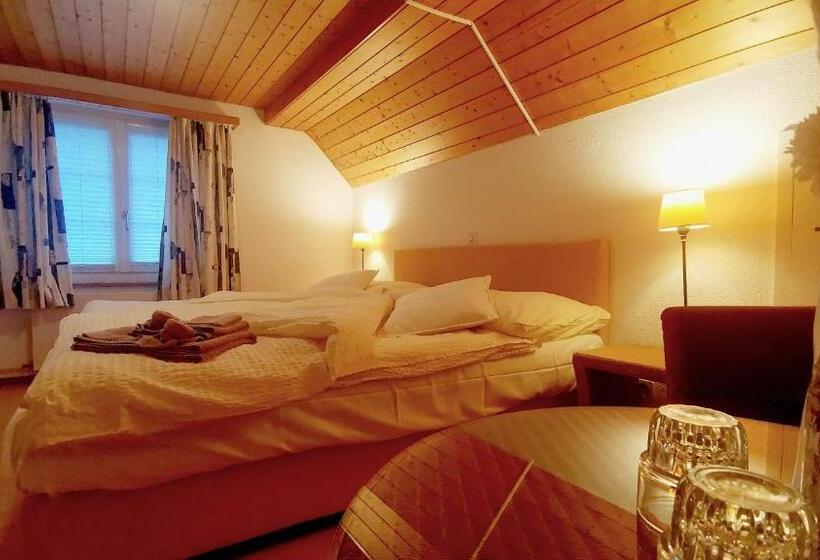 Номер Стандарт, Il Fiore Hotel Steinach Sg
