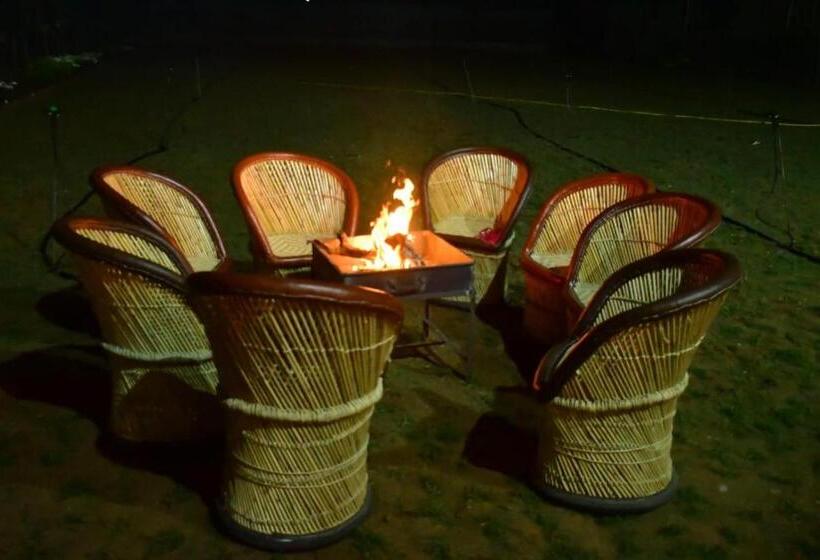 Номер Superior, Ranthambhore Jalsa
