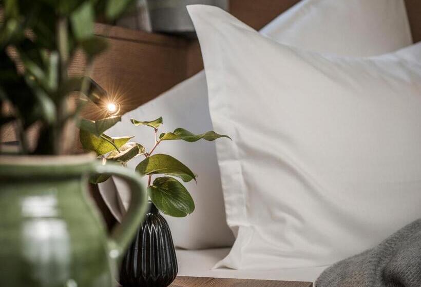 침실 1개 디럭스 아파트, Aparthotel Stacherhof
