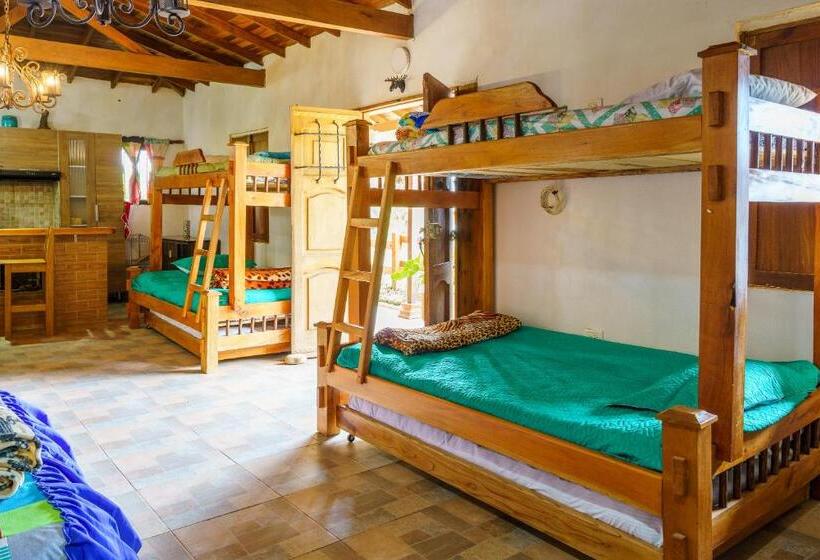 Номер Стандарт, Ciudadela El Artesano