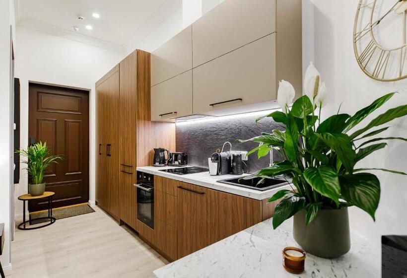 استودیوی استاندارد, Rigaapartment Elizabetes 22 Self Service Apart