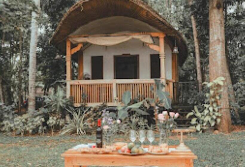 Номер Стандарт, Canoe Ville Kerala