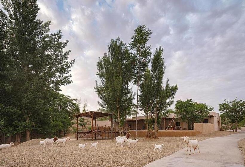 Номер Стандарт Внутренний, South Zhongwei Resort