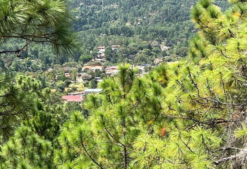 اتاق استاندارد, Aoki Valle De ángeles