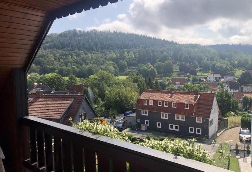 バルコニー付きスタンダードルーム, Harzhotel Grünett