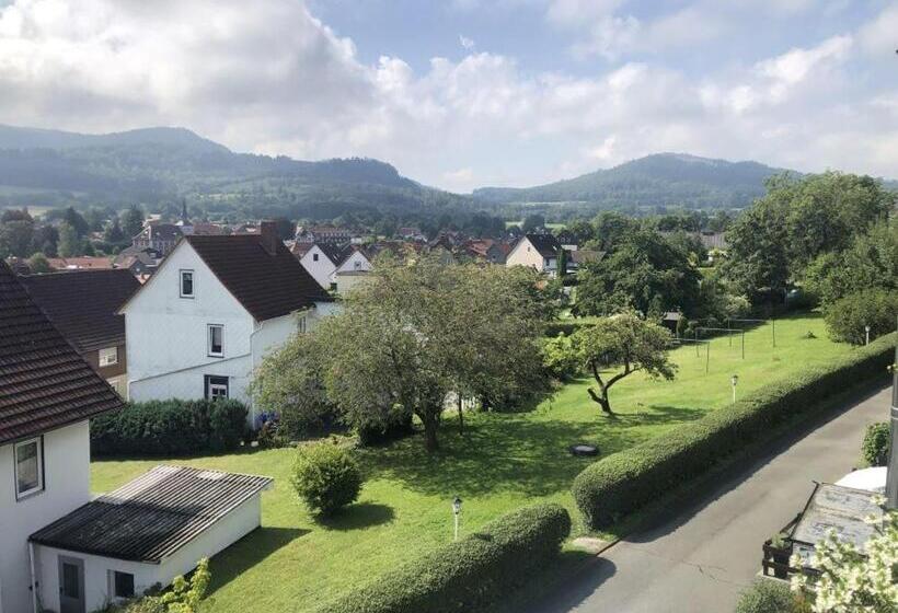 Номер Стандарт с Балконом, Harzhotel Grünett
