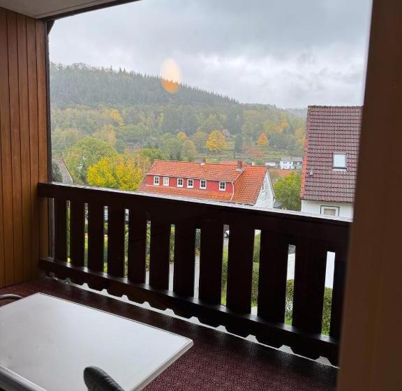 バルコニー付きデラックスルーム, Harzhotel Grünett