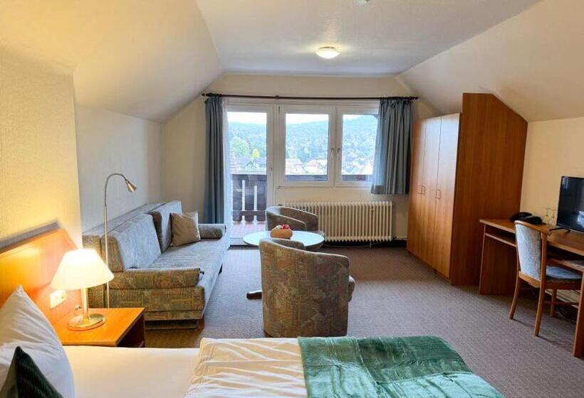 Номер Deluxe с Балконом, Harzhotel Grünett