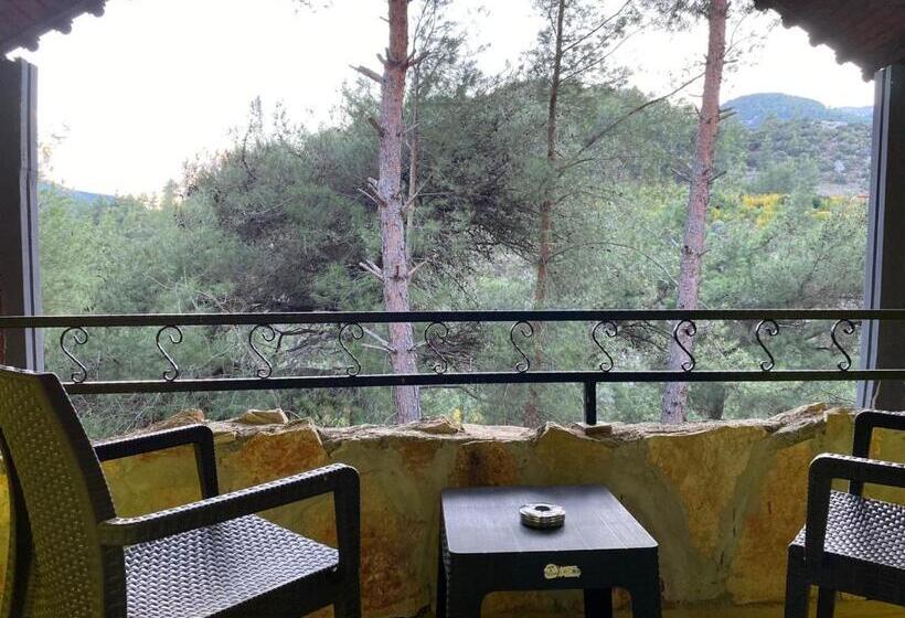 اتاق استاندارد با چشمانداز کوهستان, Gökbük Sereni̇ty