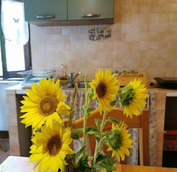 سوییت خانوادگی, Agriturismo  Rian D Oliva