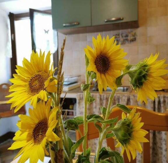 سوییت خانوادگی, Agriturismo  Rian D Oliva