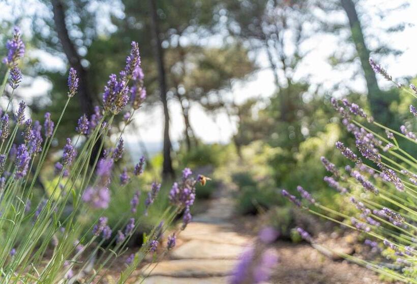 Номер Стандарт Вид на Горы, Le Chant Des Pins Lodge & Spa Tour De Keyrié