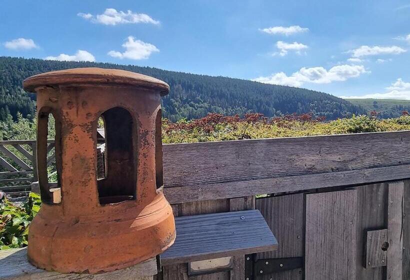 Номер Стандарт, Charmante Maison D Hôtes à Ventron   Calme, Randonnées Et Convivialité   Fr 1 589 543