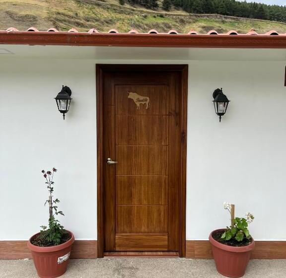 חדר סטנדרט לארבעה, San Martin Resort