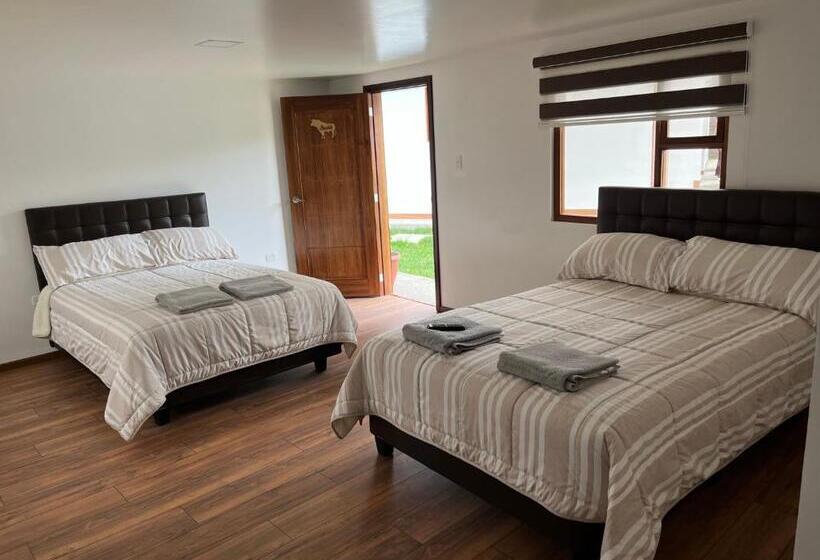 Четырехместный Номер Стандарт, San Martin Resort