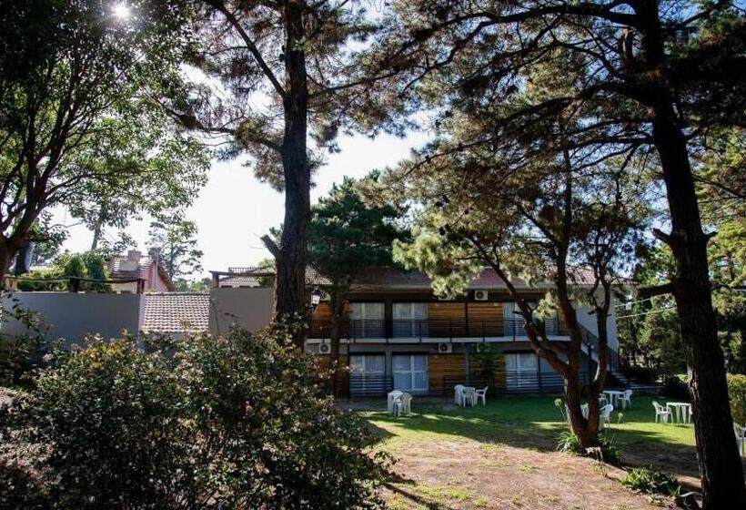 اتاق استاندارد با چشم‌انداز باغ, Aurelia