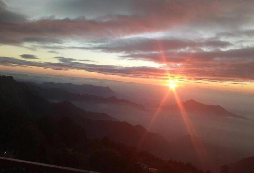 سوئیت جونیور با تراس, Kodai Heaven