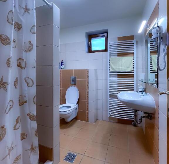 Апартаменты 1 Спальня с Балконом, Dreiszker Apartmanház