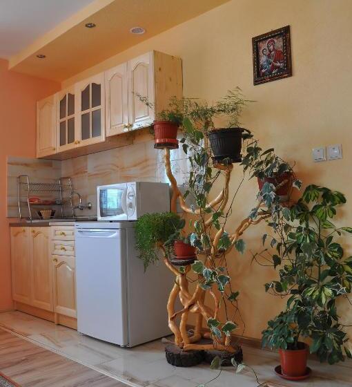 آپارتمان 1 خوابه با بالکن, Guest House Eli