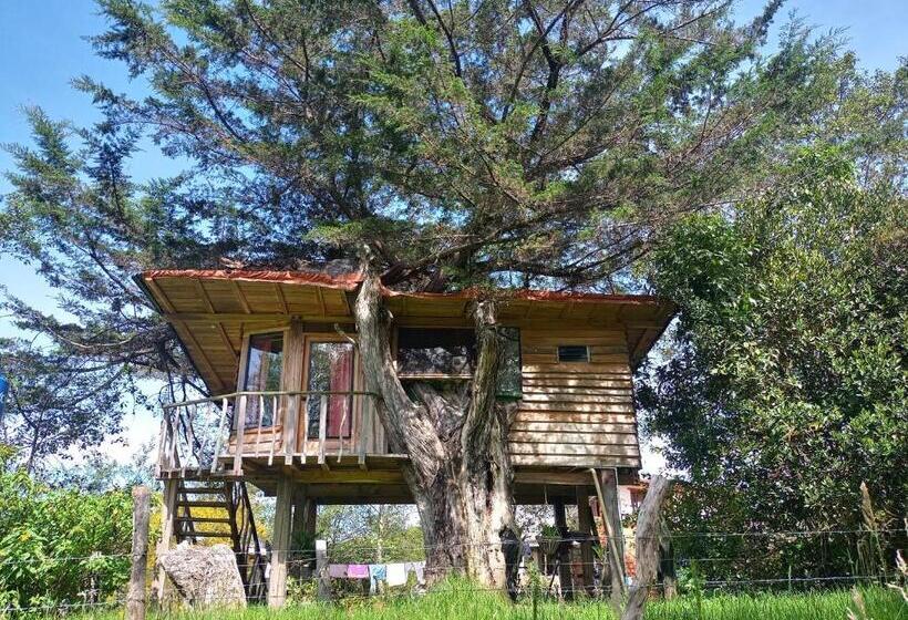 Бунгало Стандарт, Monte Verde Cabañas Y Camping